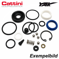 Cattini YAK 135 Packningssats